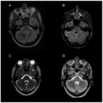 Due diligence checklist